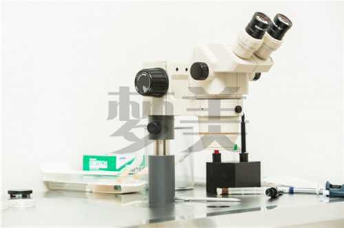 试管婴儿助孕选择与囊胚移植指南