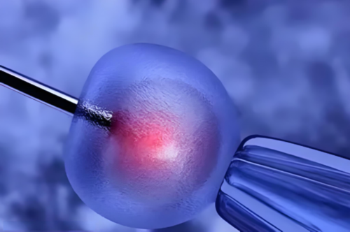 试管婴儿助孕流程与知识详解