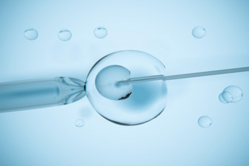 深圳赴日试管助孕的可靠选择与推荐指南