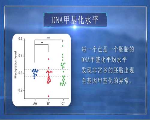 助孕服务与代生男孩选择指南