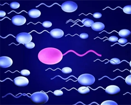 第三代试管婴儿费用解析：10万是否昂贵