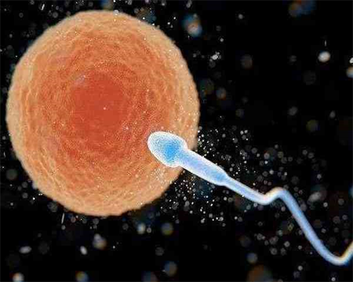 试管婴儿捐卵与三代试管风险解析及河南助孕费用指南2026