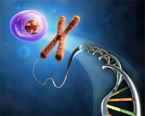 子宫内膜0.7mm在深圳做试管助孕可行吗？专业分析与建议