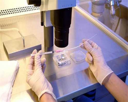 深圳私立生殖医院试管技术解析与助孕服务指南