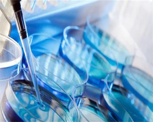 第三代试管广州与深圳比较：医院选择与手续指南