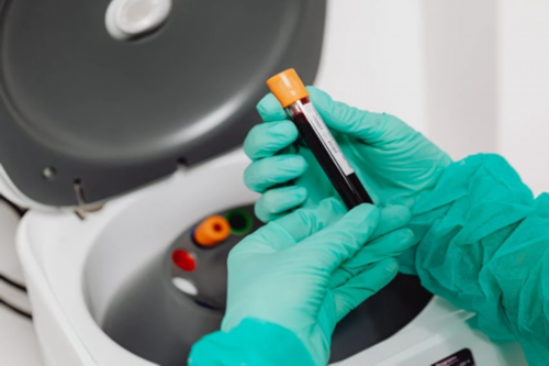 深圳助孕价格与卵巢早衰调理指南：提升代怀成功率的关键策略