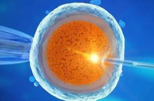 试管婴儿技术选择指南：几代试管更适合您