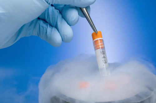 助孕价格与成功率解析：代生男孩与代孕咨询指南