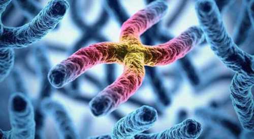 助孕价格与代生男孩服务解析