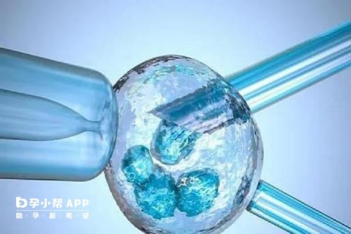 三代试管助孕：构建家庭的创新方式