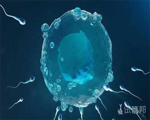 试管婴儿医院选择指南：优质机构与技术解析