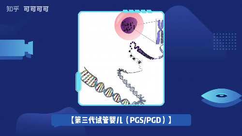 深圳助孕价格解析与代生男孩、三代试管婴儿费用指南