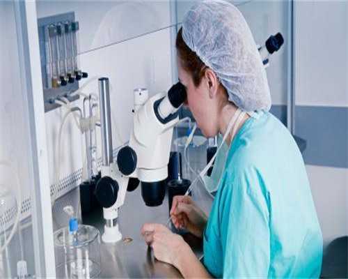 深圳助孕与代生男孩价格解析及沈阳代孕性别选择指南