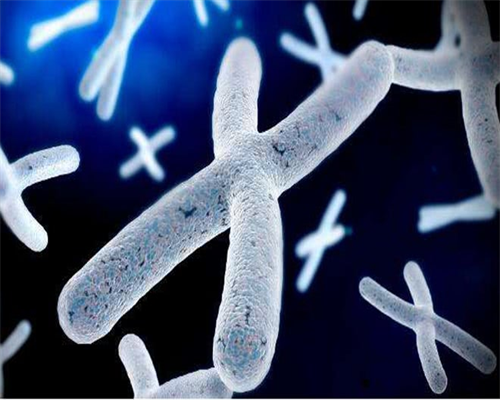 深圳助孕价格,深圳代生男孩,深圳代生妈妈,沈阳靠谱代怀医院_代孕供卵中心