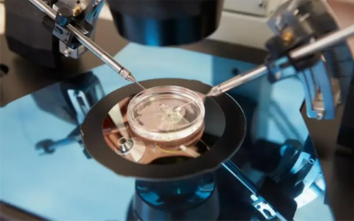 深圳试管婴儿医院选择指南：成功率与代生代怀服务解析