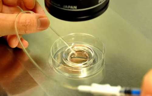 2026年深圳妇幼保健院三代试管婴儿性别选择政策与费用详解