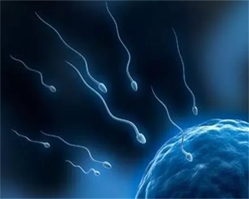 2026年三代试管婴儿费用明细及价格解析