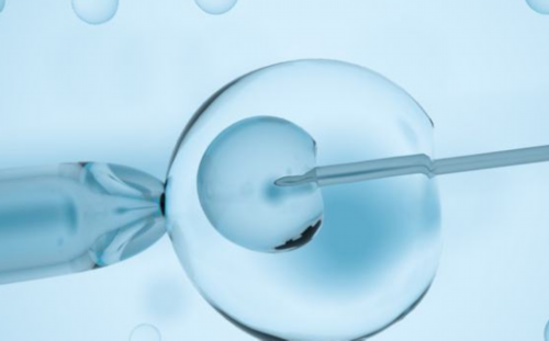 深圳试管婴儿费用与医院选择指南，专业助孕服务解析