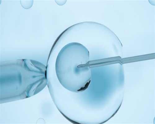 港大医院试管助孕经历分享