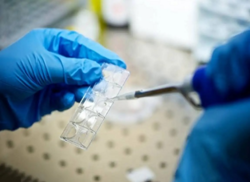 深圳妇幼试管成功率解析与影响因素详解