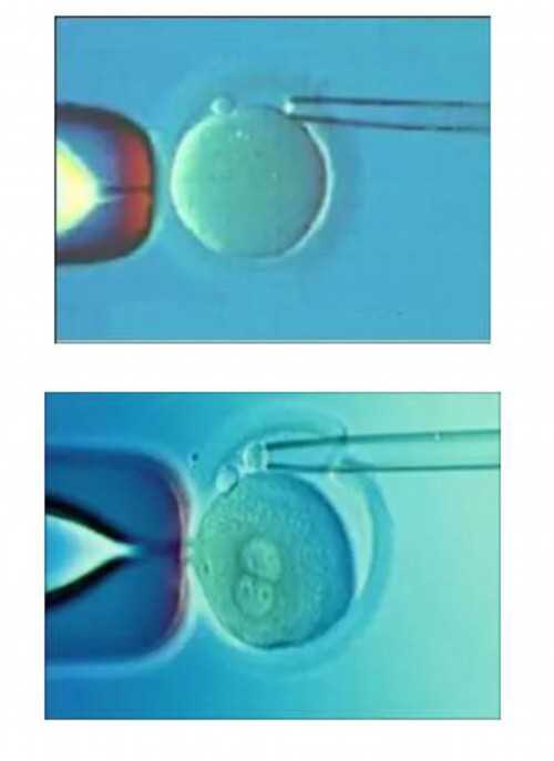 深圳试管助孕医院选择指南：专业机构推荐与代生服务解析