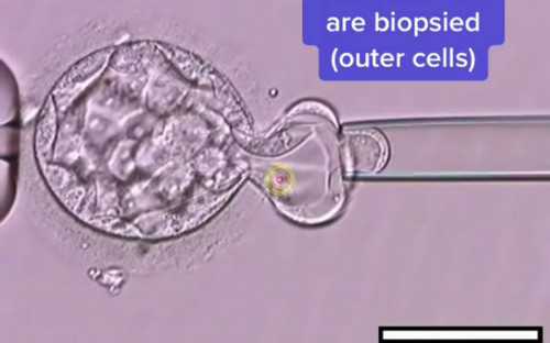 三代试管婴儿医院成功率对比与选择指南