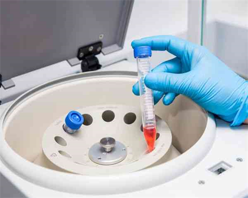 2026年深圳赴港试管生子中介机构推荐与选择指南