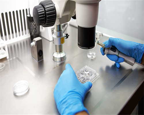 试管婴儿流程详解与海外助孕指南