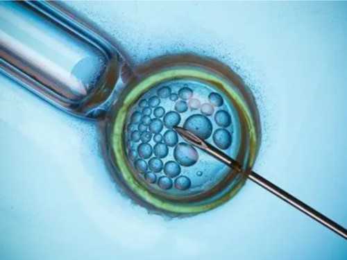 助孕价格解析与正规机构选择指南