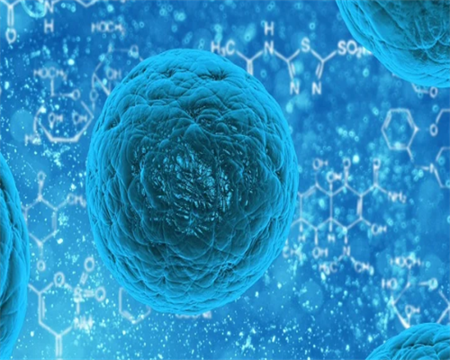 试管促排费用与成功率分析：专业助孕服务指南