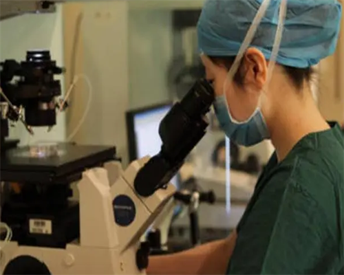 助孕价格与代生男孩服务解析