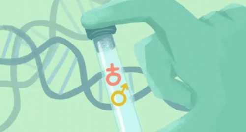 港大深圳医院试管周期开启-选择试管婴儿是否安全可靠？