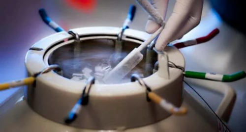 深圳供卵代怀包男孩服务与试管医院推荐：北京大学深圳医院与妇幼保健院解析