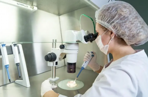 深圳试管助孕医院成功率对比与选择指南