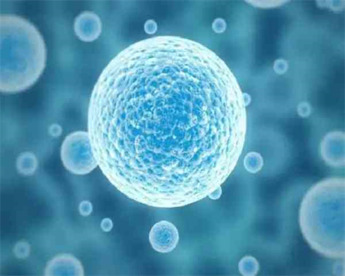 深圳正规助孕机构选择指南：靠谱代生与代怀服务解析