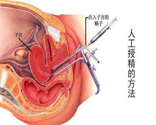 上海代孕多少钱,上海代孕网哪家好点,上海现在代孕合法吗