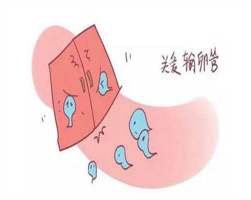上海代孕专家,上海代孕产子公司标准【助您好孕，天伦育乐】