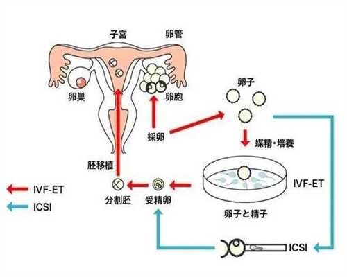 上海代孕机构_上海想找代孕中介_上海找个代孕生孩子