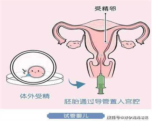 上海代孕网_上海代孕有哪几种_上海做代孕的多少钱