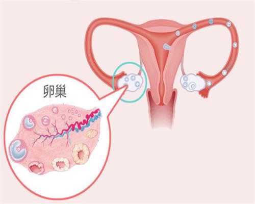 上海代生女儿,上海有代孕的群吗,上海代孕最高用多少钱