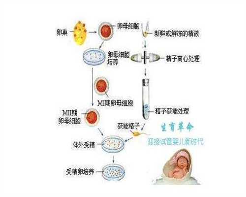 上海代孕公司_上海找代孕母亲_上海代孕网监护权问题