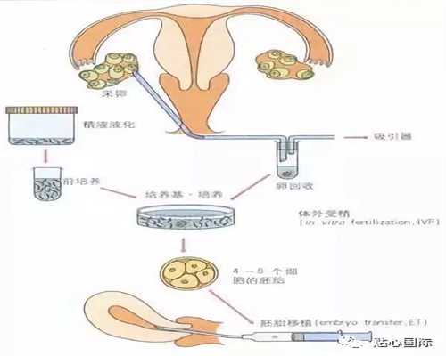 上海想找个代孕的-上海有信誉包成功代孕【上海用科学代孕不孕不育】