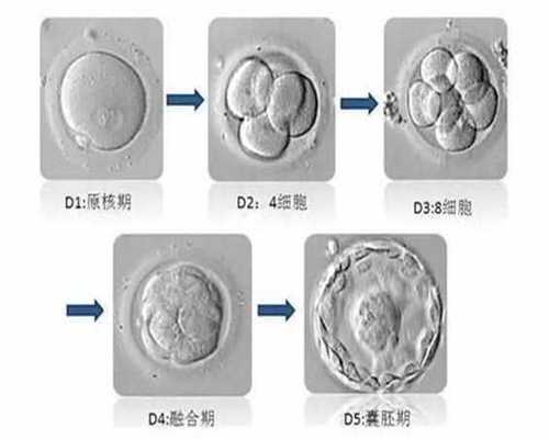 上海代孕包成功_代怀孕助孕要求_代孕大约多少钱