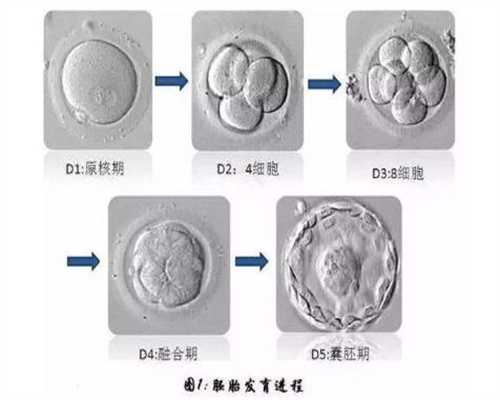 上海代孕套餐_最好代孕那家医院_2020年找代孕