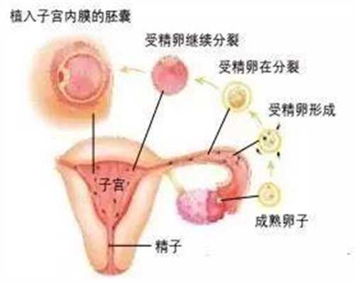 上海代孕网_代怀孕网址_想找代孕工作