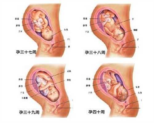 上海代孕公司_珠海代怀孕企业_代怀孕双胞胎价格