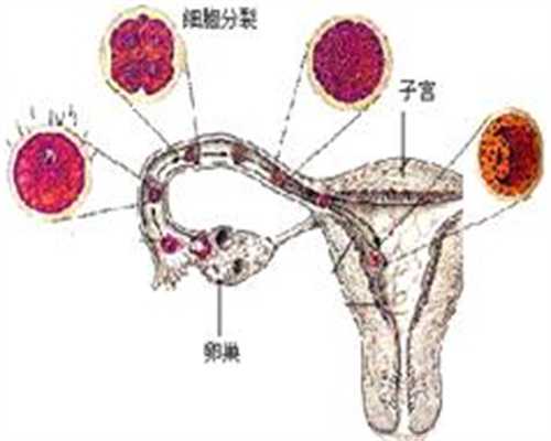 上海代孕电话_代孕怎么办准生证_代孕那个最权威