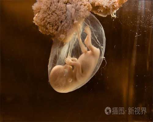 上海代孕官网_代孕价格表查询_代怀孕一个小孩多