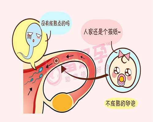 上海代孕医院_美得馨助孕网_口碑好的助孕包性别