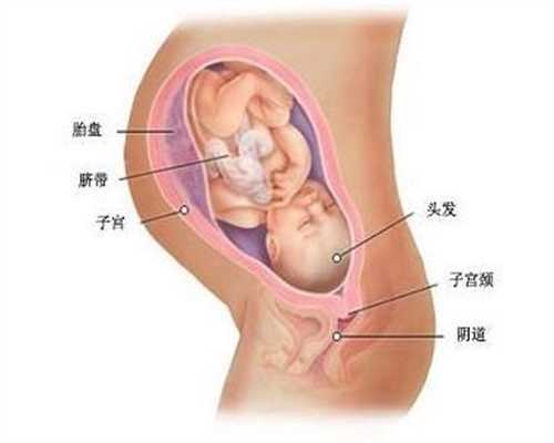 上海代孕花费_人工助孕能选男女吗_助代怀孕双胞胎